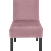 Rosa.jpg